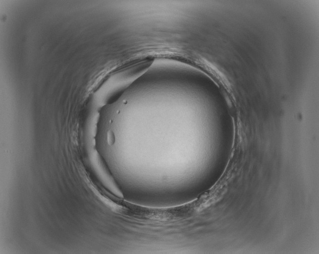 X0000065980105200603061224