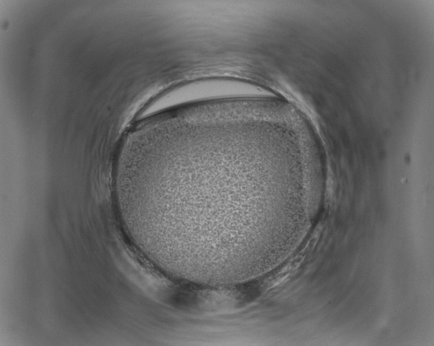 X0000065980107200603061224