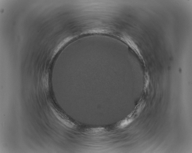 X0000065980108200603061224