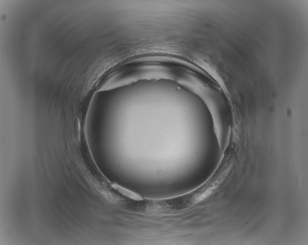 X0000065980109200603061224