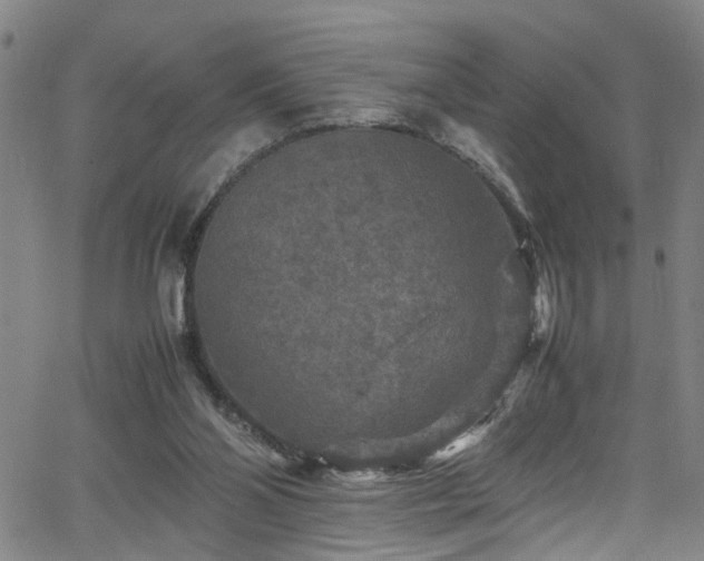 X0000065980110200603061224