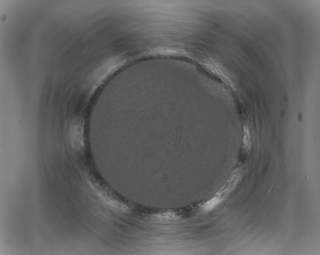 X0000065980112200603061224