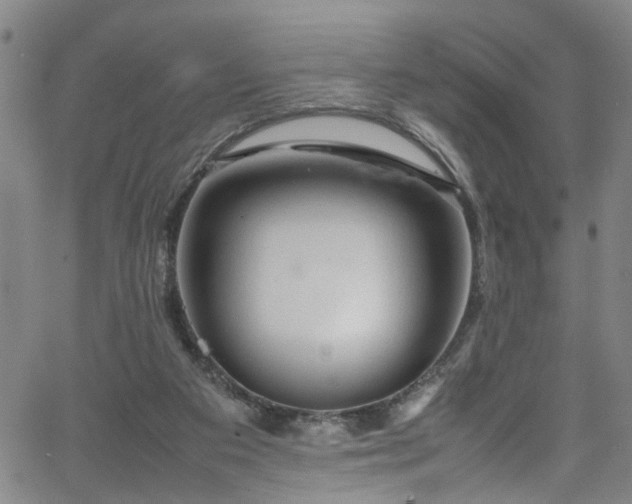 X0000065980113200603061224