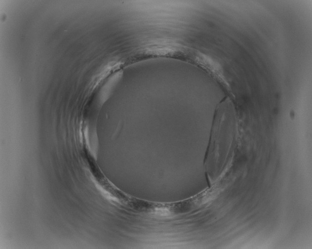 X0000065980114200603061224