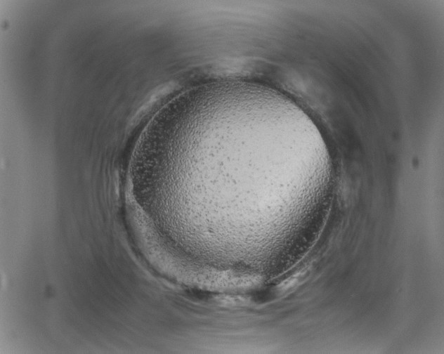 X0000065980115200603061224