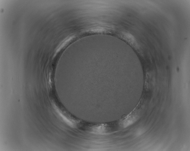 X0000065980116200603061224