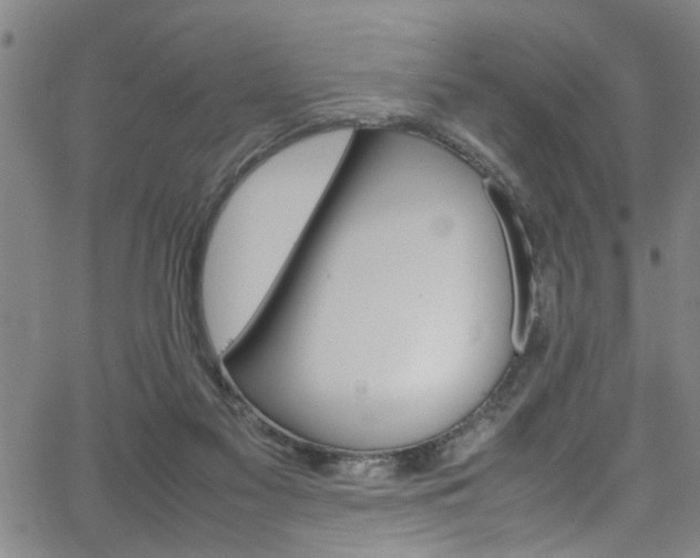 X0000065980117200603061224