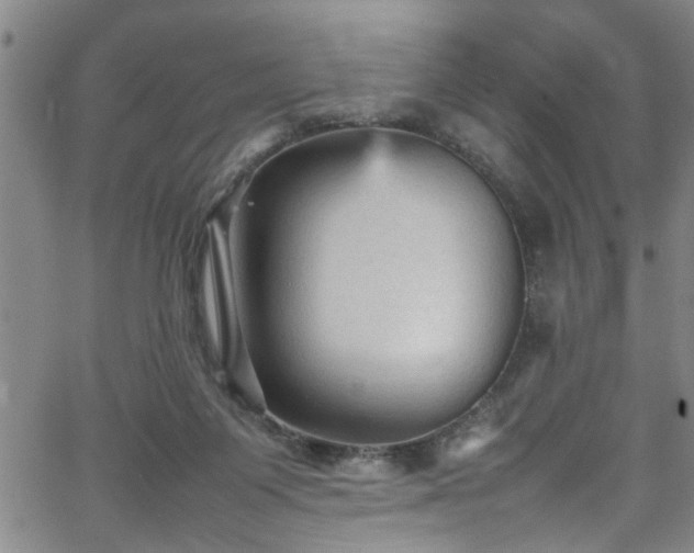 X0000065980119200603061224