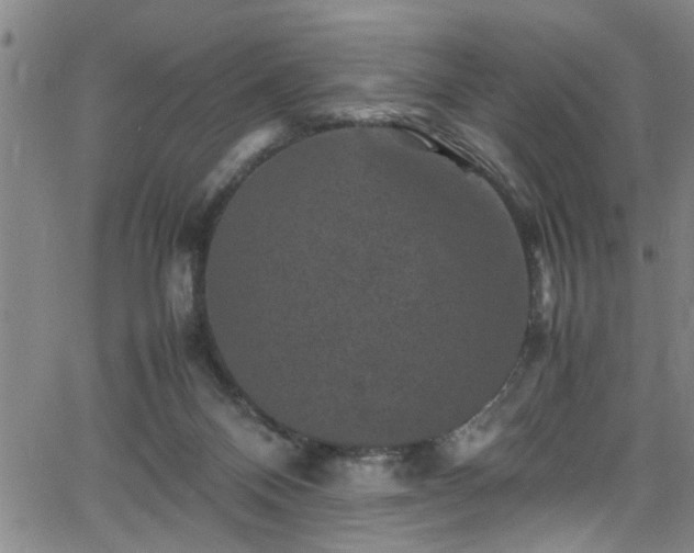 X0000065980120200603061224