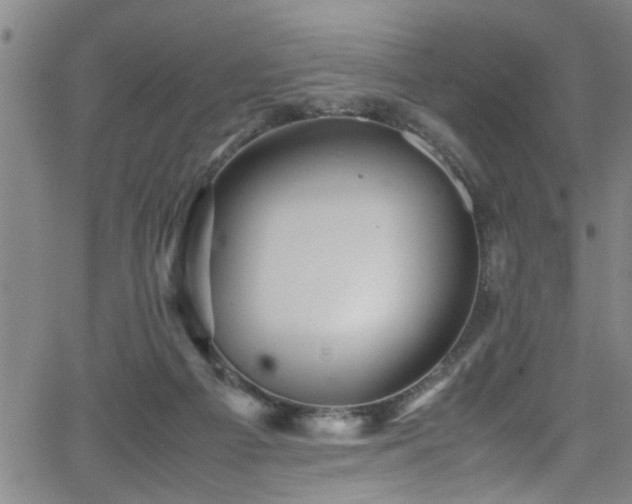 X0000065980121200603061224