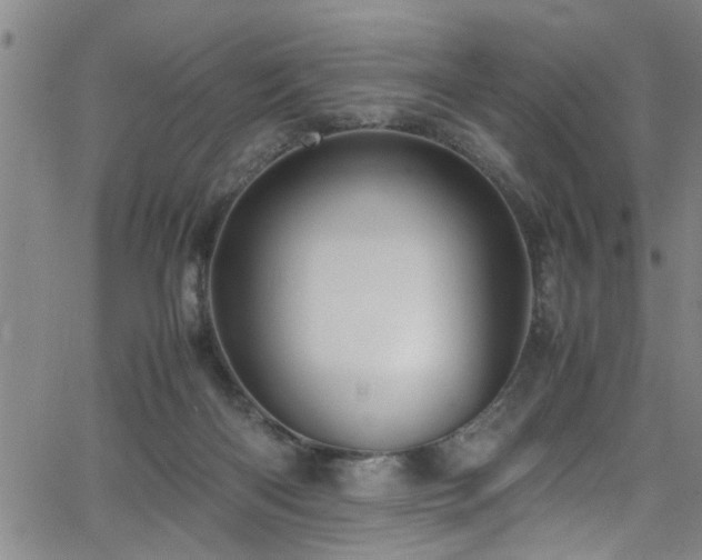 X0000065980122200603061224