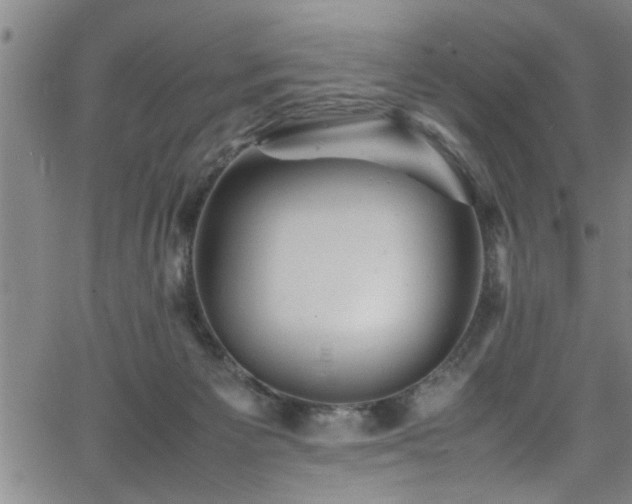 X0000065980125200603061224