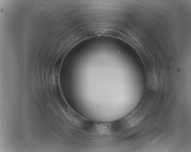 X0000065980126200603061224