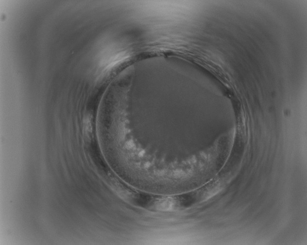 X0000065980127200603061224