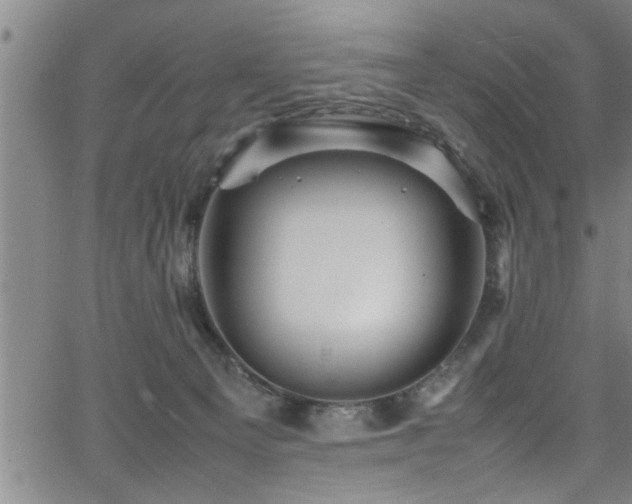 X0000065980129200603061224