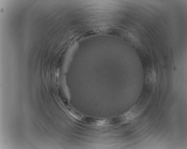 X0000065980130200603061224