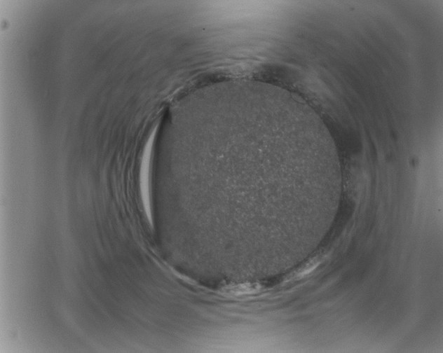 X0000065980131200603061224