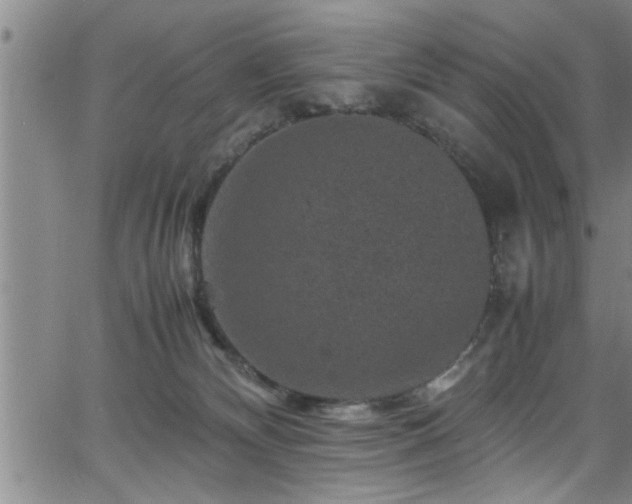 X0000065980132200603061224