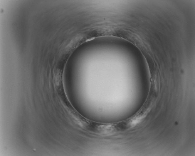 X0000065980133200603061224