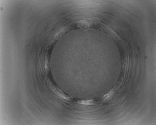 X0000065980134200603061224