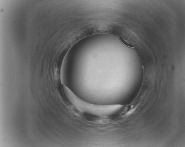 X0000065980135200603061224