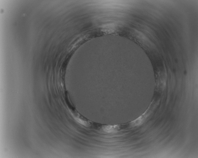 X0000065980136200603061224