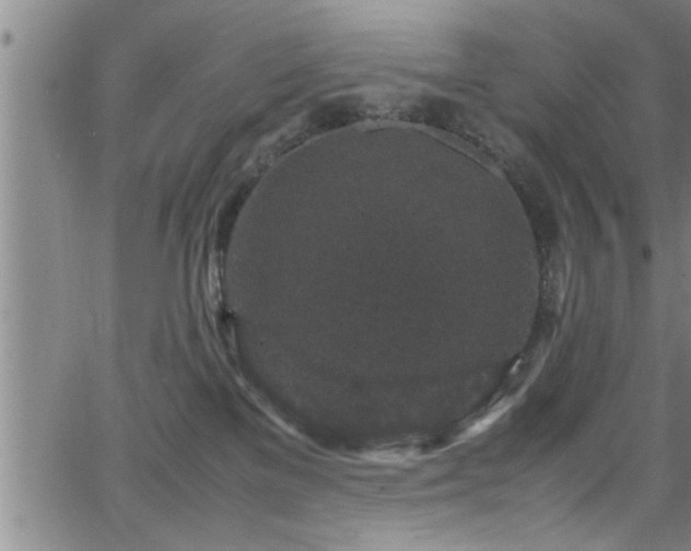 X0000065980137200603061224