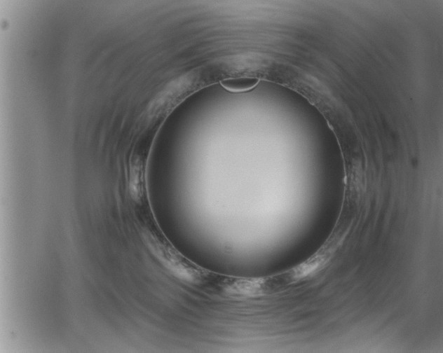 X0000065980138200603061224