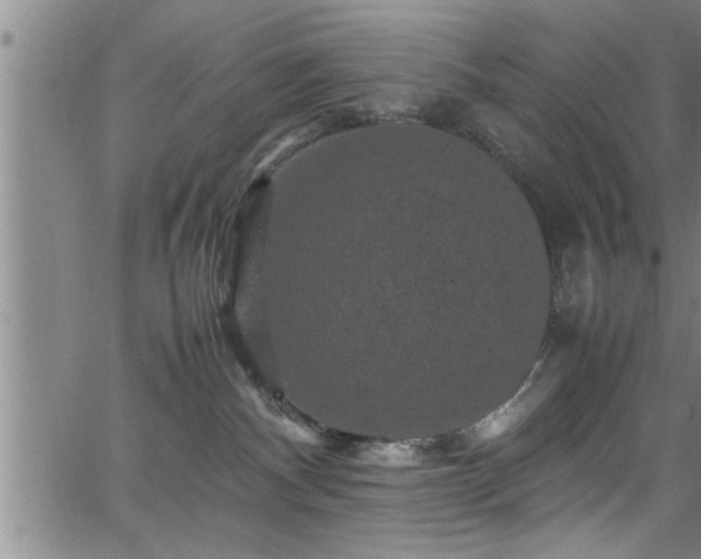 X0000065980140200603061224