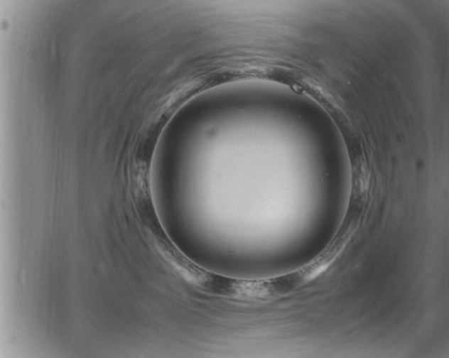 X0000065980141200603061224