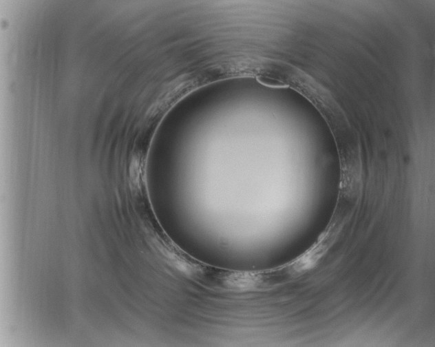 X0000065980142200603061224