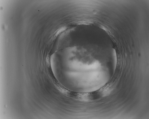 X0000065980143200603061224