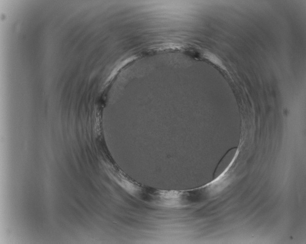 X0000065980144200603061224