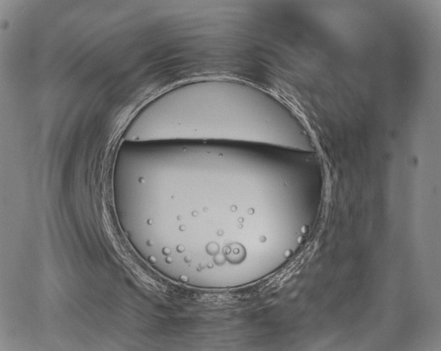 X0000065980145200603061223