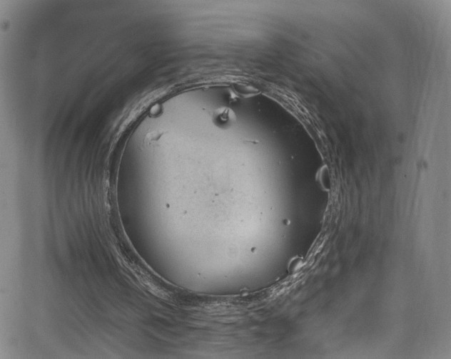 X0000065980146200603061223