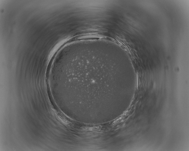 X0000065980147200603061223