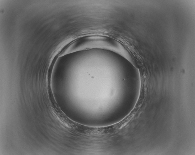 X0000065980148200603061223