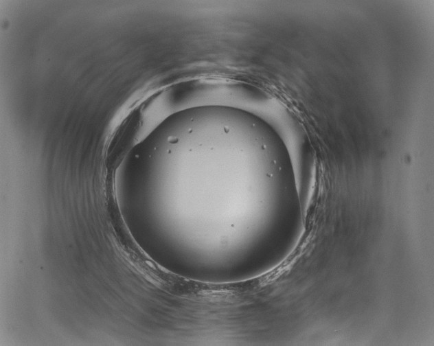 X0000065980150200603061223