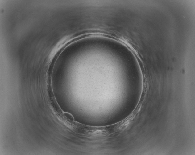 X0000065980151200603061223