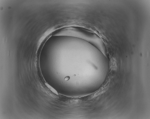 X0000065980152200603061223