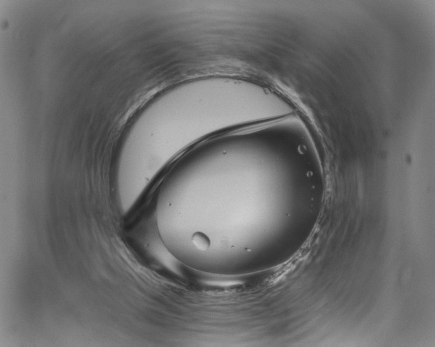 X0000065980154200603061223