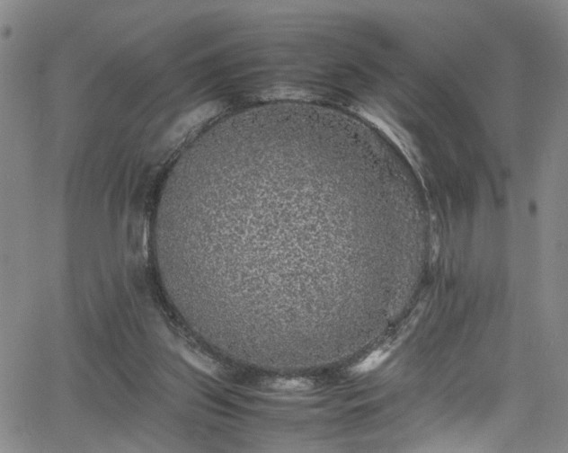 X0000065980157200603061223