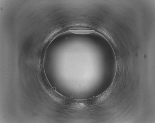 X0000065980159200603061223