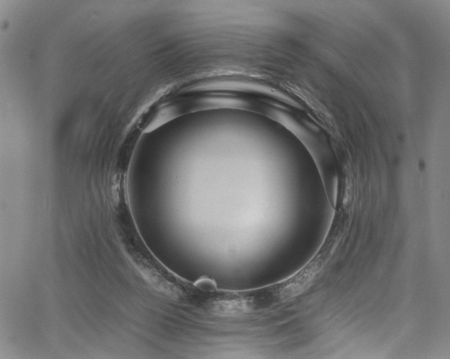 X0000065980160200603061223