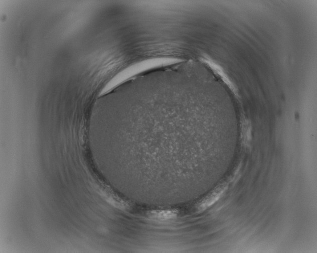 X0000065980161200603061223