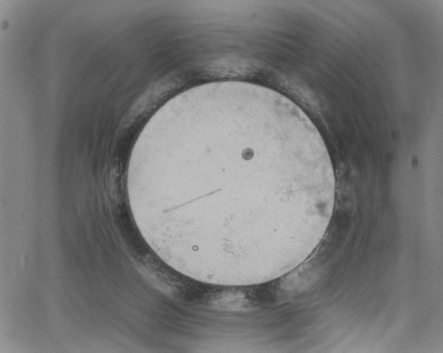 X0000065980162200603061223