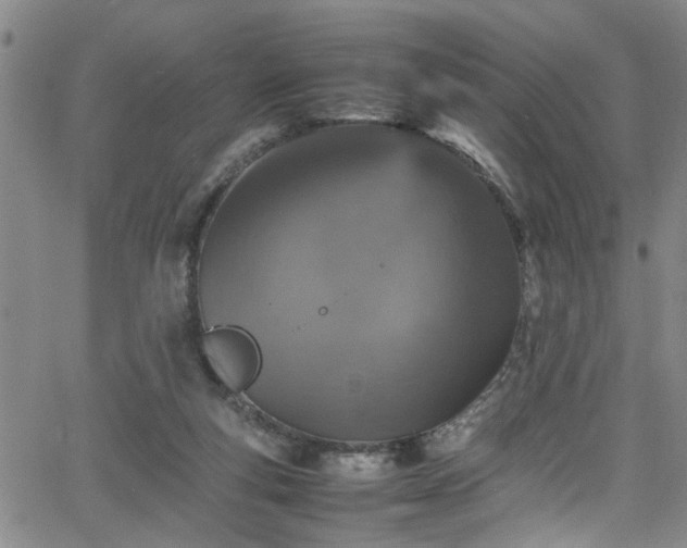 X0000065980163200603061223