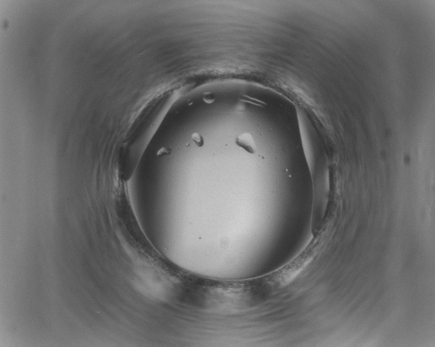 X0000065980164200603061223