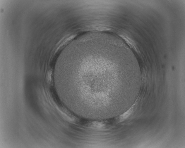 X0000065980166200603061223