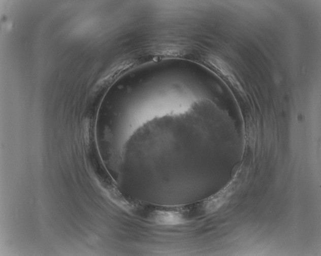 X0000065980167200603061223